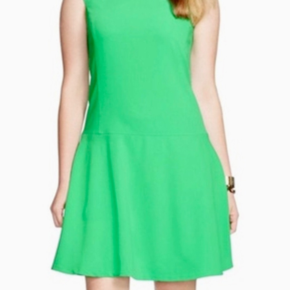 Ralph Lauren Green Bofidra Crepe A-Line Dress
